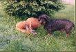 12-06-2004 r. Tego tez znalzlem.