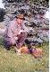 11-06-2004 r.wieczorem