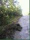 Wczorajszy porannek (06.08.08) o 04:40 pozyska�em przelatka o wadze 32kg.