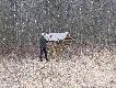 Pa�nik
Niestety zdj�cia te nie s� primaaprilisowym �artem. W tygodniu wybra�em si� w teren... Cz�sto w obwodzie spotykamy popsute ambonki... ale to ju� przesada!