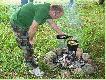 Gulasz z dzika z bukietem warzyw, podlany ,,Wirtan�'' zakupion� w Po�czynie w zesz�ym roku.