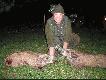 2 dziki,kt�re pozyska�em na �ciernisku w dniu wczorajszym.wybiera�y sie do �anu kukurydzy.18kg i 17kg.
