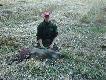 trzeci dziczek w tym sezonie przelatek p�ci �e�skiej strzelony z ambony oko�o godziny 5.30. dnia 02-08-2008