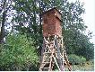 ambona
no i ambona postawiona w �owisku