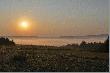 Poranek we mgle.
Nadle�nictwo Dyn�w. �owisko Radan�wki. Dolina Sanu.