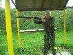 Trenuj,trenuj.Wyniki m�wi�,�e trzeba.