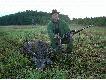 M�j pierwszy Byk:) W pierwszym roku uprawnie� selekcjonerskich.