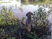 "Wodo�az" ;)))