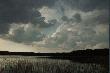 Serwent
