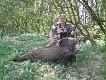 Dzik strzelony w maju. Waga 95kg. Ore� nie du�y,ale zdobi �ciane.D.B.