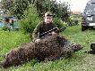 odyniec 133kg strzelony o 24 na pe�ni
