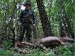 Piotr na miejscu strzau w nadchodzcym zmroku  