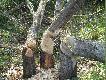 Bobry
Pami�tam jeszcze jak kilka lat temu, ten teren by� nieu�ytkiem. Po �rodku przep�ywa� ma�y strumyk... Dzi� wygl�da to tak.