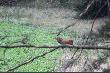 Strzelaj�c foty

