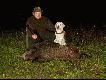 Przelatek kt�rego pozyska�em podczas wieczornego polowania z zasiadki w dniu 29.10.2008.Waga 59 kg.Dzik przeznaczony na zabaw� hubertowsk�, strzelony na mi�kkie poszed� oko�o 200 metr�w w bagno, lecz to �aden problem dla mojego towarzysza �ow�w.