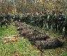 Historyczny pokot dla WK "Batyk". 23 dziki + trzy rudzielce. Darz Br! 