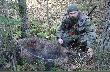 Hubertus 2008 .Dzik wszed� w miot  zza moich plec�w  . Wchodz�c  zatrzyma� sie na chwil� na drodze  15 m od mojego stanowiska  .Po strzale  nie zaznaczy� . Farba pojawi�a si� dopiero za ok 100m po nast�pnych 20 m  Kolega Grzegorz  robi� mi ju� zdj�cia :-)