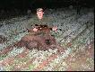 bardzo dziwne mia� ruchy podczas �erowania!