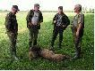 M�j dzik strzelony 22.06.2007wieczorem, a znaleziony dopiero rano przy pomocy koleg�w i pieska! po strzale, poszed� ponad 250 m.