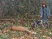 ...ciekawo�� Foresta...