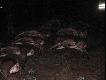 przygotowania do pokotu, by�o juz do�c ciemno a moj aparat jest za s�aby azeby zrobic �adne zdi�cia...
