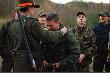 kr�l z �ani� na rozk�adzie