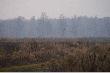 U przyjaci�
Krajobrazy,zwierzyna,s�o�ce i ksi�yc-w r�nych  stronach w r�nym czasie.