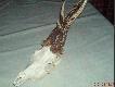 6-7 lat  500g wid�ak
