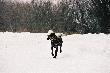 Malomkozi Soma
M�j towa�ysz �ow�w...