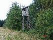 R�zne

