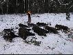 6 p�dze� 8 dzik�w