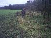 Koza strzelona z ambony w pe�nym biegu.