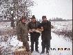 ju za chwil szarak pokica do owiska
