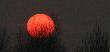 Sunset ;)