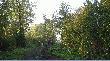 lekka mgie�ka i du�o s�o�ca powita�o nas w �owisku niedaleko P�c�awia