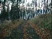 polowaczka
Wybrane fotki :):) Jako�� s�aba bo z kom�rki