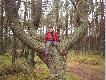 jubileusz
jubileusz ko�a