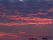 ...widzia�am s�o�ca ostatnie tchnienie w zapadaj�cym blasku odchodz�cego dnia...
