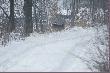 az by�y na 50m i jak na zbior�wce, to co niedozwolone strzelane na lini
