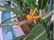 R�ne
