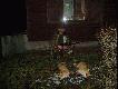Lisy
Dwa liski strzelone z jednej zasiadki 13.02 a m�wi� �e trzynasty pechowy