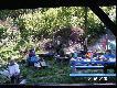 REGIONALNE KONKURS Y: JAMNIK�W ...
JELENIA G�RA 2005