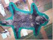 S�owackie trofea
