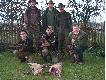 Beskidzkie lisy
W dniu 28.03.2009 mieli�my wraz lupusem775 przyjemno�� zapolowa� na lisy z pieskami u Micha�a Knapika (vulpes) na terenie K� Knieja w Wadowicach.Pi�kna wiosenna pogoda,wspaniali ludzie i dobra robota piesk�w sprawi�y,�e chwile te na zawsze pozostan� w pami�ci!Micha� Tobie i wszystkim poznanym Kolegom-WIELKIE DZI�KI!!!Dzi�kujemy tak�e za zaproszenie na przysz�y sezon-b�dziemy napewno,w takie miejsca,do takich ludzi wraca si� z rado�ci�!Darz B�r!