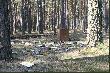 podziwiajmy pi�kno naszej przyrody
Je�li te zdj�cia rani� Tw�j zmys� estetyczny, musisz to przemy�le� . Mo�e wizyta u psychologa lub psychiatry pomo�e . Pytasz : dlaczego??? Dlatego, �e wi�kszo�ci si� podoba.