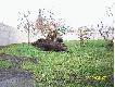 sezon 2009/2010
Witam. Oto galeria z moich przyg�d �owieckich w nowym sezonie 2009/2010. Pozdrawiam Darz B�r:)))