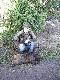 sezon09/10
Zdj�cia z moich polowa�