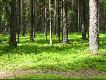 Mazury...