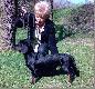 Cz�stochowa 19.04.2009
Krajowa Wystawa Ps�w Rasowych.
IMPET w Pogoni za Marzeniem wystartowa� w klasie m�odzie�y.
Ocena doskona�a. Medal z�oty. Zwyci�zca M�odzie�y. 
Wi�cej na   <a href="http://alpejczyki.bloog.pl/gal,568100,title,Czestochowa-19042009,index.html" target=_blank>alpejczyki.bloog.pl</a>
Zwyci�zc� Rasy zosta� Ci�ty z Psiarni Wojskiego. 