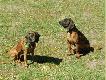 Reg.Ko.Trop i Poskowc�w Manowo.18-04-09.
